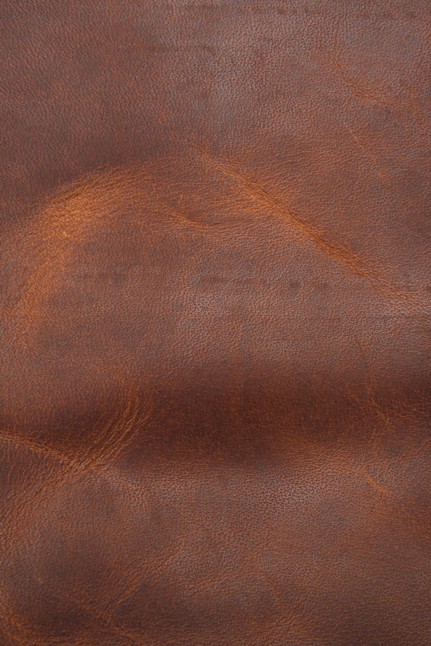 Logan Messenger - Image 4