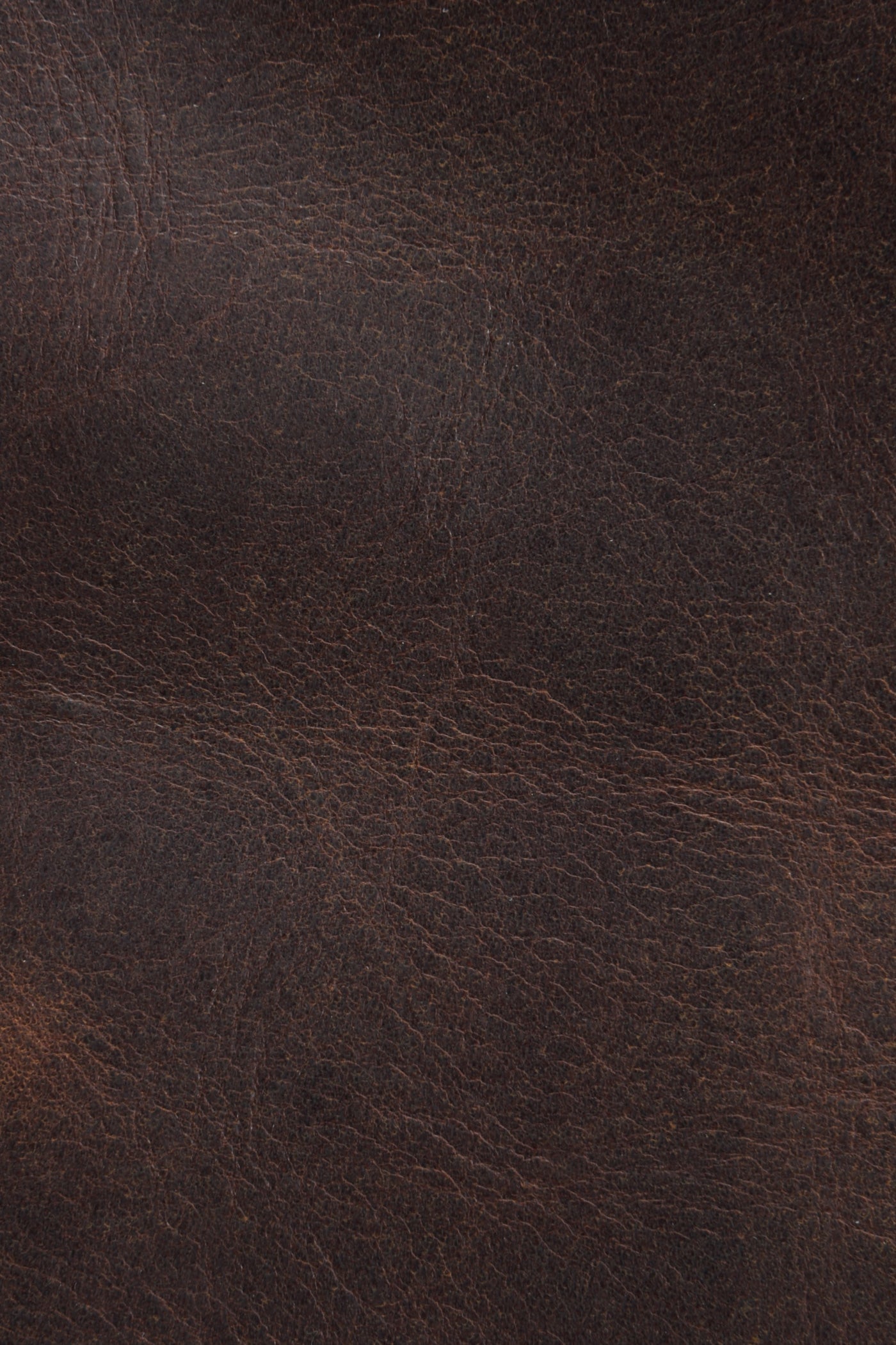 Logan Overnight - Image 4